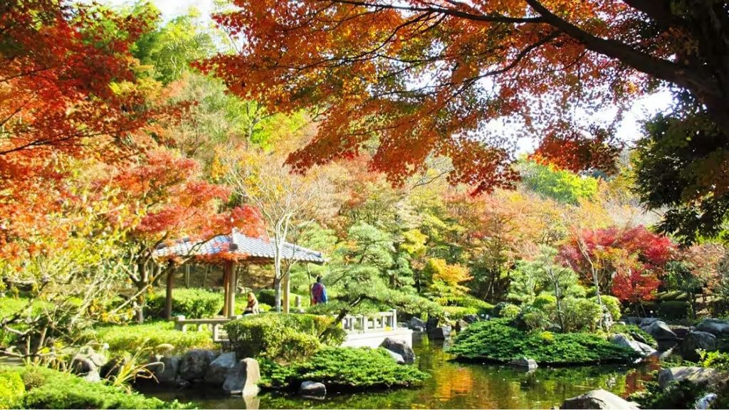 Autumn Walk: Oiso Joyama Park